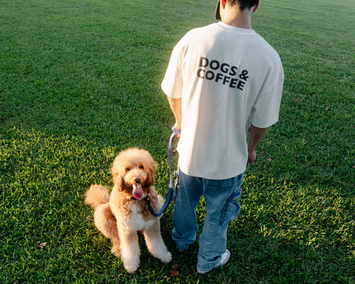 Dogs & Coffee T-Shirt - White